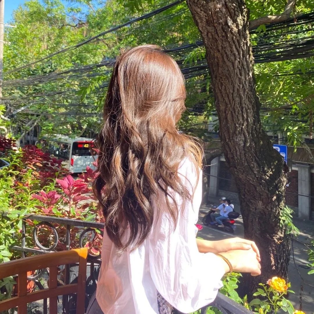 西西里著名的熊入侵事件